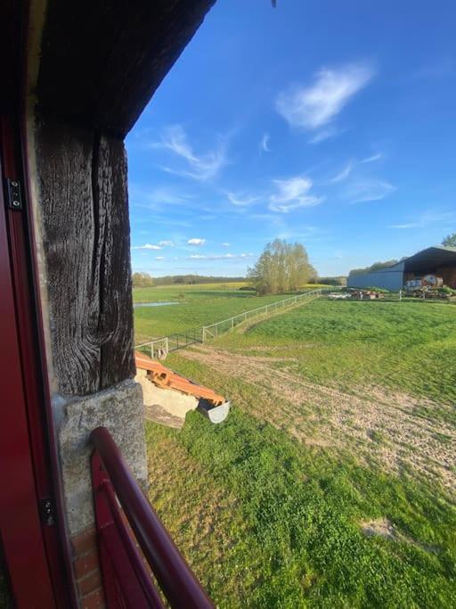 Villenouan Domaine Et Gites Lailly-en-Val Экстерьер фото