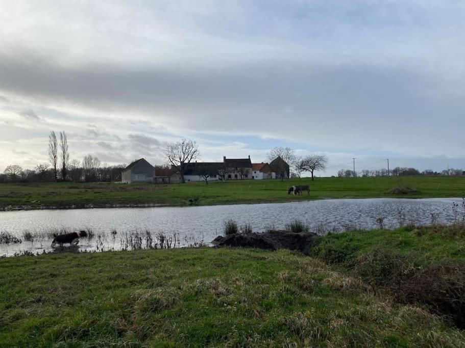 Villenouan Domaine Et Gites Lailly-en-Val Экстерьер фото